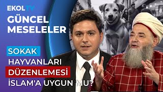 Cübbeli Ahmet Hoca Muhalefetin Adayı İmamoğlu Yerine Özel Olmalı I Güncel Meseleler I 30072024 [upl. by Htezil132]