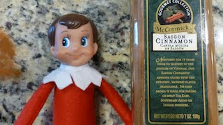 Elf How to Get your elf back there powers with Cinnamon [upl. by Yasmeen13]