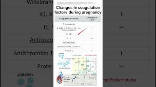 Changes in coagulation factors during pregnancy [upl. by Eecats181]