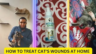 How To Treat Your Cats wounds At Home 💯 [upl. by Shear]