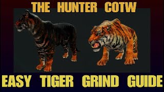 TIGER GRIND SUPER EASY GUIDE HUNT TIGERS NON STOP THE HUNTER COTW Sundarpatan NEPAL RESERVE [upl. by Marashio]