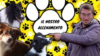 IL NOSTRO ALLENAMENTO Toffee Nhât e Mavie [upl. by Sayres]