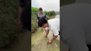 Thailand mein coconut ki kheti farming [upl. by Gerome794]