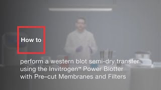 How to perform a western blot semidry transfer using Power Blotter with Precut Membranes amp Filters [upl. by Filia]