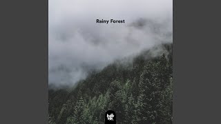 Rainy Forest [upl. by Tisman683]