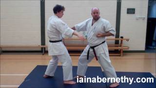 Practical Kata Bunkai Pinan Nidan  Heian Shodan Moves 3 to 6 [upl. by Ronoh972]