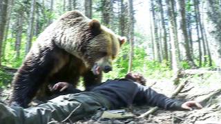 Grizzly Bear MAULS Forestry Worker During Field Inspection on October 20th 2024 [upl. by Atsira43]