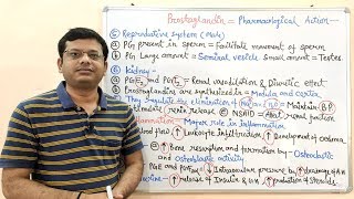 Prostaglandin Part 02  Pharmacological Action of Prostaglandins  Prostaglandins Pharmacology [upl. by Leamiba106]