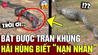 Thấy con trăn có BỤNG PHÌNH TO trước cửa chủ nhà hoảng sợ cho đến khi biết NẠN NHÂN  Động Tiin [upl. by Borchers]