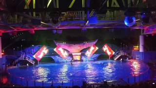 Shamu’s Celebration Light Up The Night at SeaWorld Orlando [upl. by Lledor776]