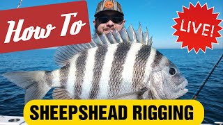 How to Rig for Sheepshead Fishing  INSHORE OR OFFSHORE [upl. by Mur]