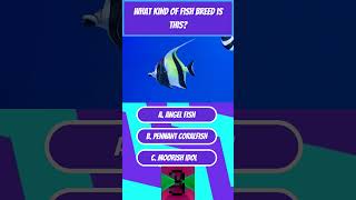 Let’s guess the Fish Breed Fish Trivia 🐟 🐠 😃 [upl. by Nnelg126]