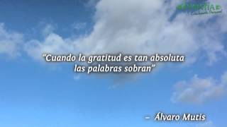 5 frases bonitas para escribir una carta de agradecimiento [upl. by Drake392]