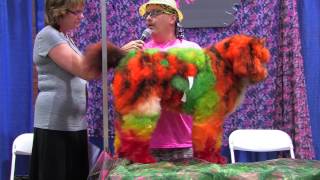 Creative Grooming Contest at PetQuest 2014 [upl. by Tibbs901]