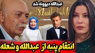 سریال شربت زغال اخته قسمت 45 فصل دوم شربت زغال اخته یا سریال حفظ آبرو [upl. by Coretta413]