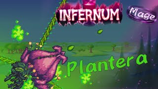 Plantera Infernum mode  Mage  Terraria Calamity  yeshit [upl. by Nosdrahcir]