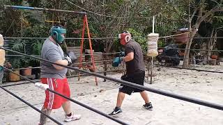 Dogo ARGENTINO VS Alcapone peleadores boxing [upl. by Culley]