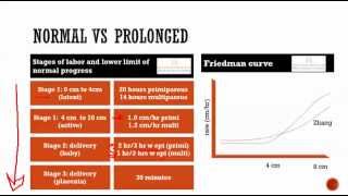 obstetrics 6 Normal labor  stages presentation position note writing [upl. by Wilkison]