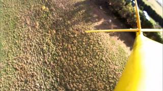 Wedge Tailed Eagle attacking RC Glider [upl. by Thalassa84]