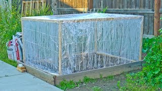 5 Low Cost Greenhouse Ideas [upl. by Yentyrb]