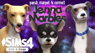 Paesh Cermet amp Marpel  Creating Jenna Marbles Dogs in the Sims 4 [upl. by Dougie]