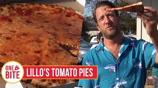 Barstool Pizza Review  Lillos Tomato Pies Hainesport NJ Bonus Cheesesteak Review [upl. by Yantruoc]