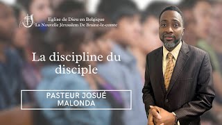 La discipline du disciple  Pasteur Josué Malonda [upl. by Yralam375]