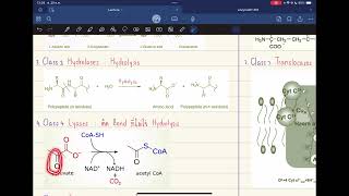 Pharm Biochem  Simple Kinetic of Enzyme [upl. by Ulla463]