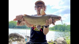 River Catfishing New Species CaughtBack After 3 Years [upl. by Kone]