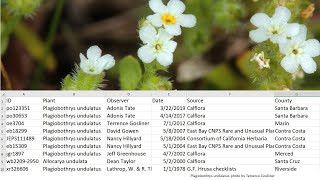 Download  export observations from Calflora [upl. by Notsehc]