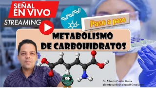 Bioquímica Metabolismo de Carbohidratos Paso a paso [upl. by Sidman771]