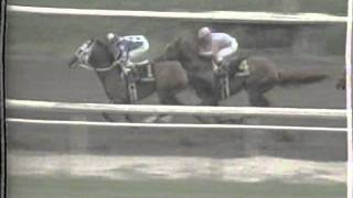 1988 San Bernardino H  Alysheba Ferdinand GoodTaste [upl. by Aicilav893]