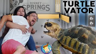 TURTLE in the ELEVATOR Bad Idea Disney Springs in Quarantine FV Family Beach Vlog [upl. by Rhyner]