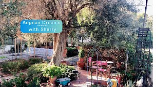 Breakfast at Sherrys Garden Cafe on Salamina Island expatlife greekisland aegeanislands [upl. by Cristoforo]