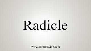 How To Say Radicle [upl. by Kola971]