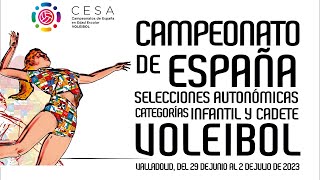 Pista 9 CESA Voleibol Cadete Masculino Jornada Tarde Jueves 29062023 [upl. by Vashtee617]