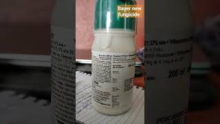 Acebo Bayer new fungicide agriculture Acerbo [upl. by Ettegirb]