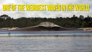 The Pororoca One of the Weirdest Waves in the World [upl. by Aiotal952]