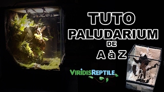 TUTO  CREER UN TERRARIUM PLANTÉ  PALUDARIUM [upl. by Faludi]