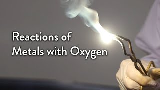 The Reaction of Metals with Oxygen [upl. by Winonah]