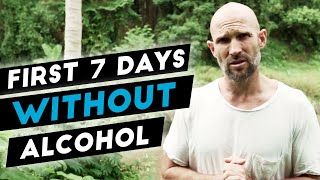 What Happens In The First 7  10 Days After You Quit Drinking Alcohol [upl. by Ahsinej]