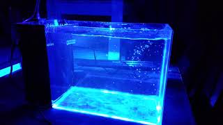 Nano Reef Tank 10 Gallon Rimless All in One Build AIO Saltwater with a Kessil A80 [upl. by Haleelahk]