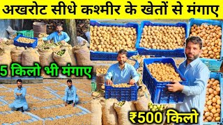 सबसे सस्ता अखरोट ₹500 किलो  Dry Fruits Wholesale Market Kashmir  AkhrotBadam  Dry Fruits Kashmir [upl. by Voe135]