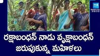 Women Celebrated Raksha Bandhan With Trees In Ramagundam Peddapalli District  SakshiTV [upl. by Nylarat43]