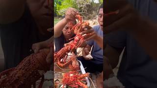 crab seafoodslover lobster fishing freshlobster seafood [upl. by Fatsug825]