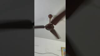 Ceiling fan Two fans ceilingfan ceilingfansound like share subscribe fansound fans ❤❤❤ [upl. by Eemak]