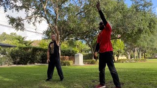 Sifu Lester Holmes Taichi Flow in park with Sifu Fred Holt [upl. by Nnalatsyrc]