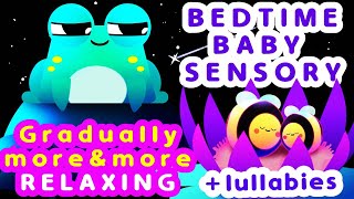 💤 Gradually Relaxing Baby Sensory  Bedtime Sensory Video  Infant Visual Stimulation 🐸 🐝 [upl. by Oisor]