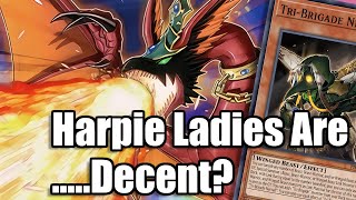 Harpie Lady Deck Profile  July 2024 [upl. by Sgninnej]