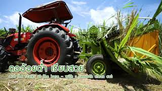 Chang Tractor Sugarcane Leaf Cutter amp Harvester [upl. by Rtoip171]